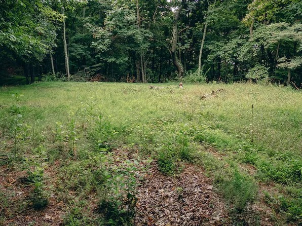 0 Crowell Gap Rd, Boones Mill, VA 24065