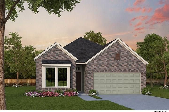 1st image of 29911 Vallonea Oak