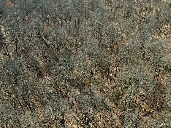 5th image of 3 Jones School Rd