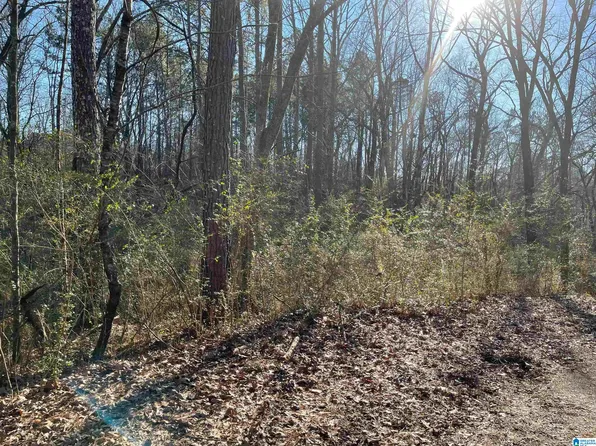 6123 Alexandria Jacksonvle Hwy, Jacksonville, AL 36265