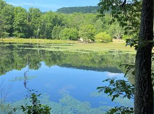 L40 Amelia Ct #40, Ellijay, GA 30540