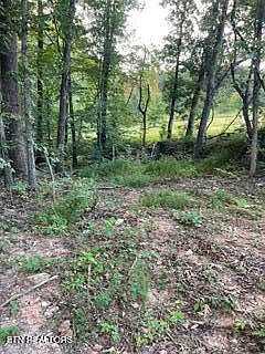 5th image of Wells Rd