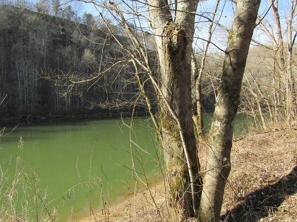 1.00 River Bend Dr, Celina, TN 38551