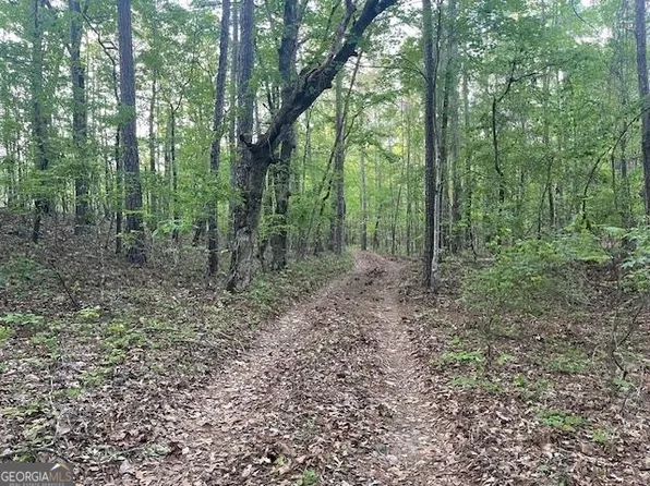 0 Thompson Rd, Meansville, GA 30256