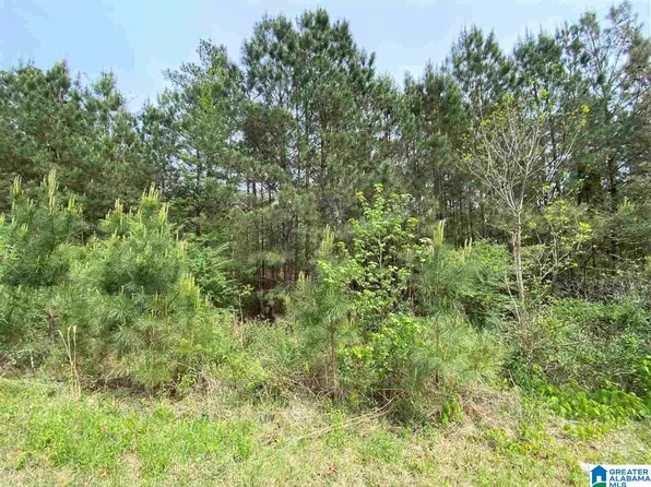 499 Cherrywood Ct #72, Odenville, AL 35120