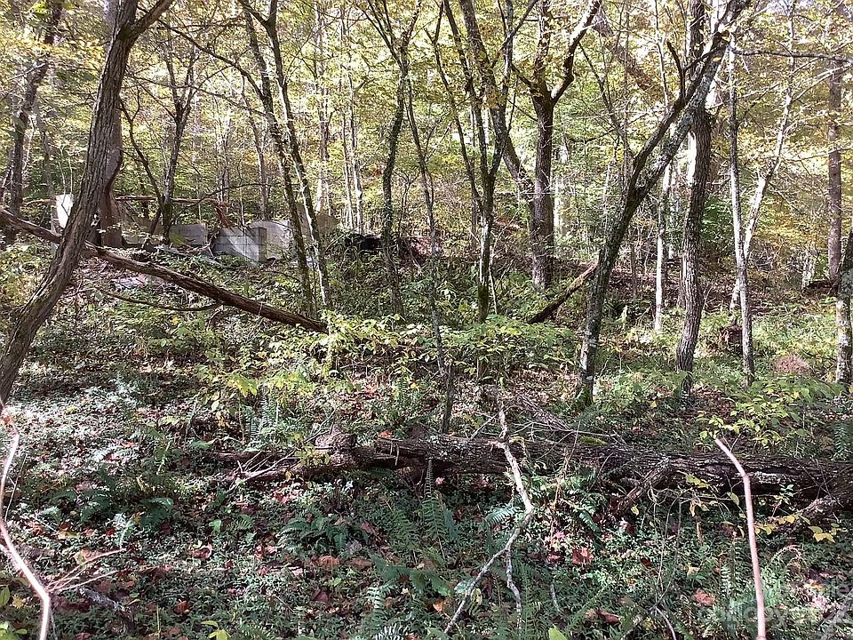 2nd image of 0 E Sprinkle Branch Rd W