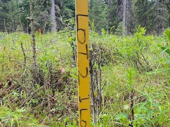L3 Madsen Ave, Kasilof, AK 99610