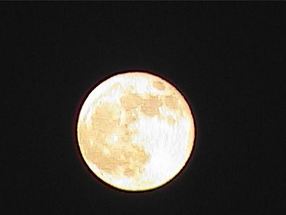 summer moon back yard