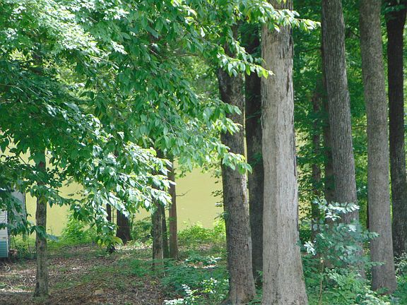 3rd image of 2993 Beech Creek Loop