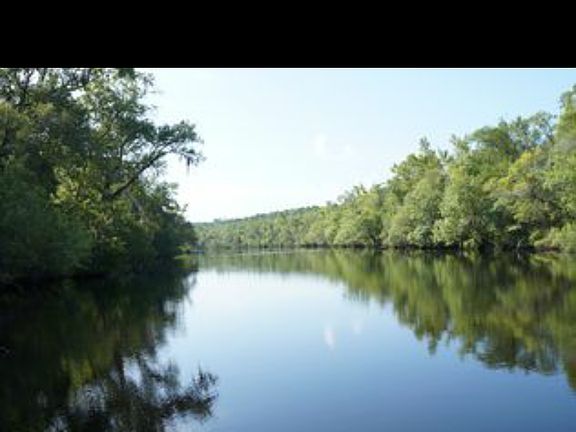 4th image of 01 Janells Landing Dr
