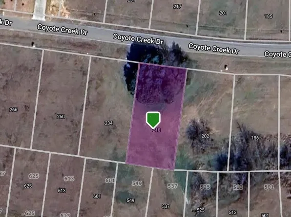 218 Coyote Creek Dr, Gordonville, TX 76245