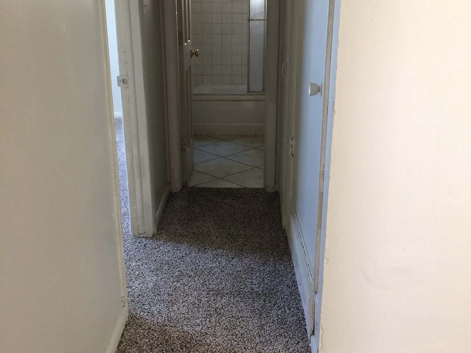 2 bed, 668 sqft, $1,600 — Photo 4