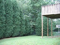 4th image of 830 Singing Hills Dr
