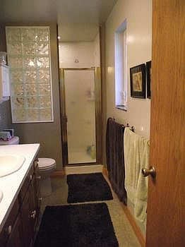 A view of the master bath, notice the glass blocks for extra light in the shower!