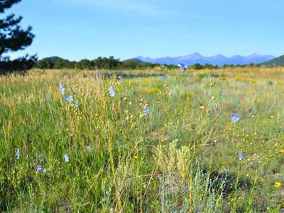 Tbd Q Path, Cotopaxi, CO, 81223