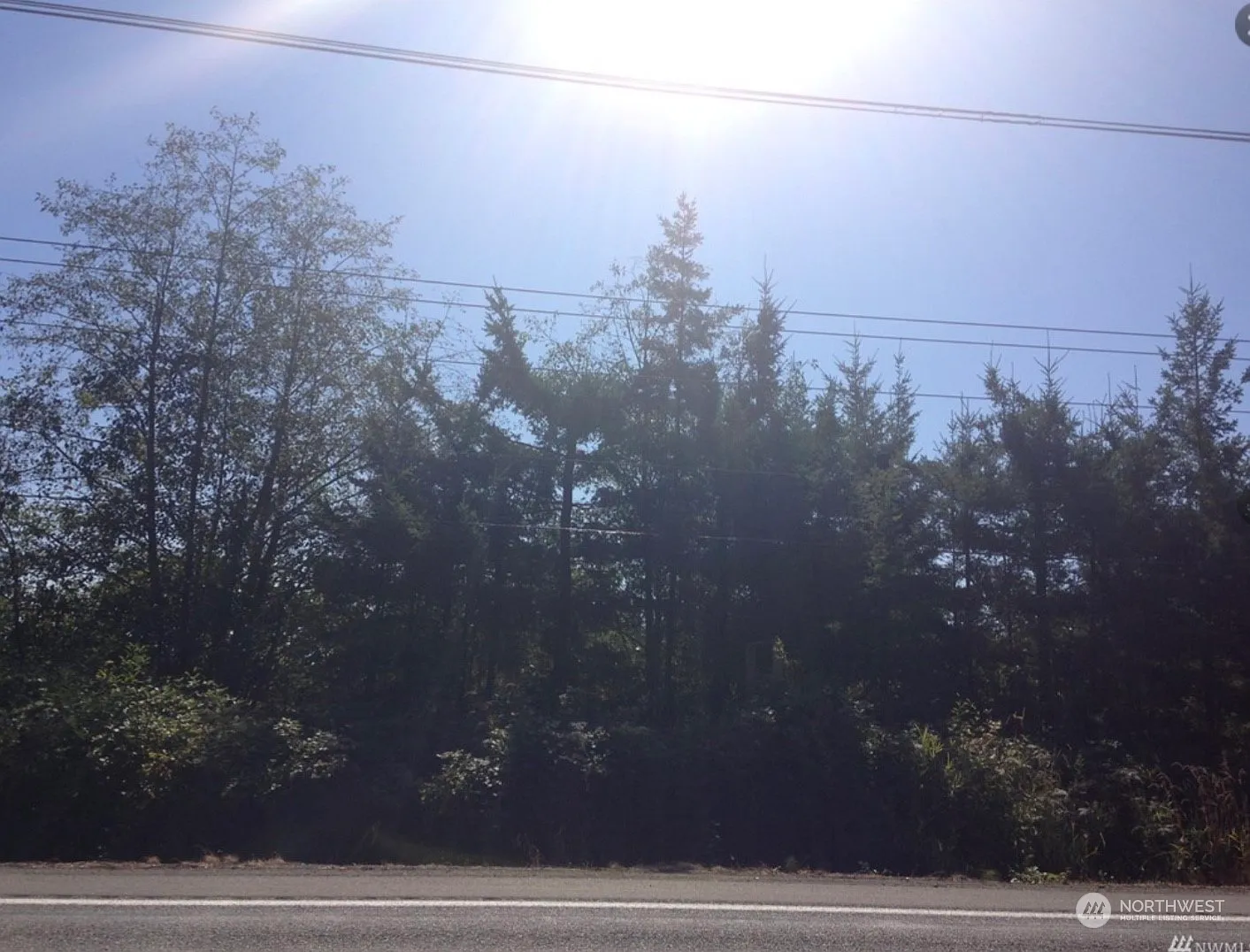0 Birch Bay Lynden Road photo 1