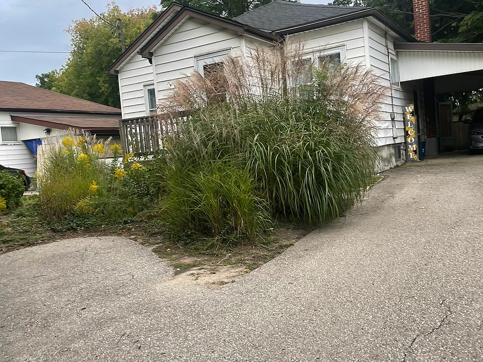 1st image of 61 Hamel Ave #1