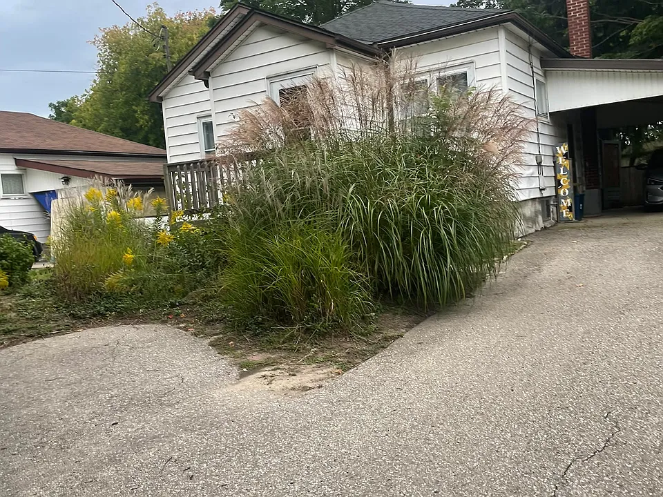 61 Hamel Ave #1