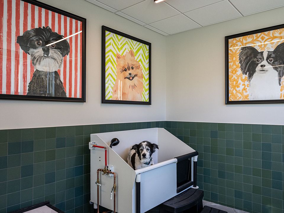 Dog Spa