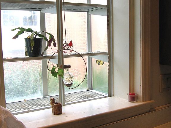 Kitchen with greenhouse window and wood cabinets