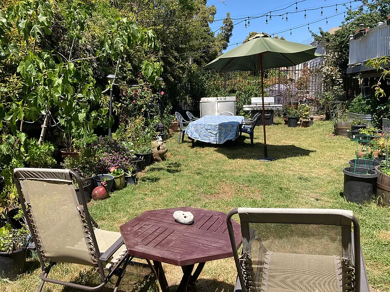 Huge Back Yard (Ready to BBQ?, oh yeah!)