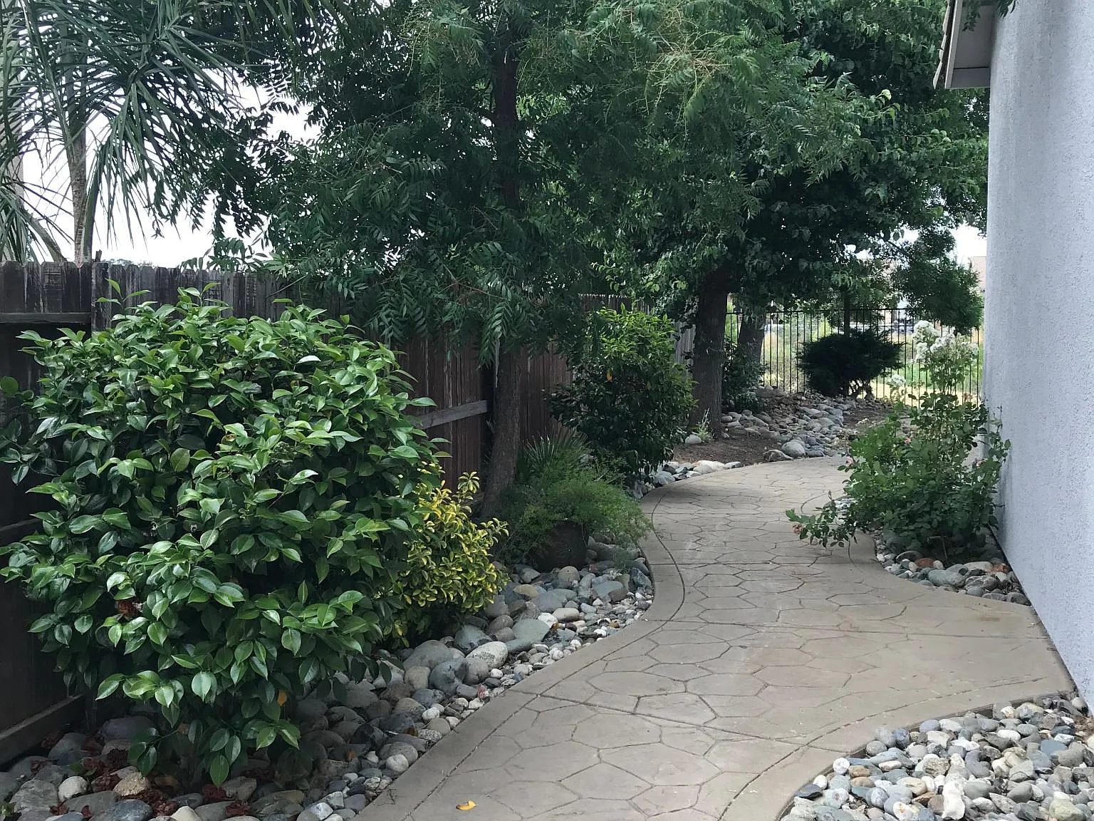 3 bed, 1700 sqft, $3,000 — Photo 3