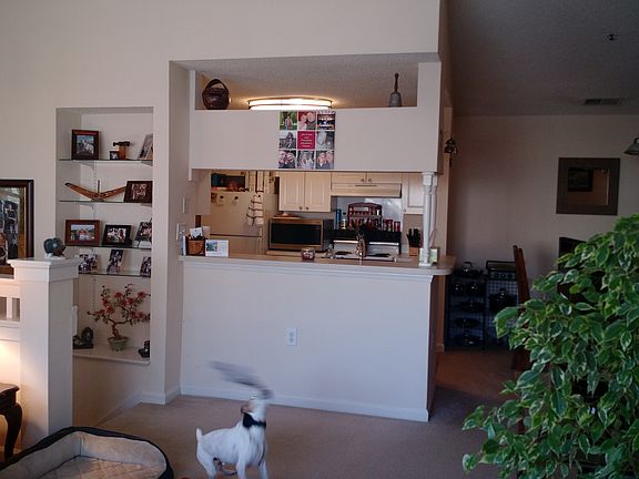 Living Room/Kitchen View