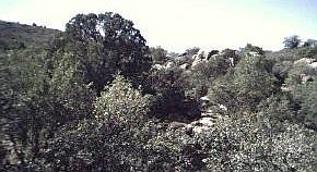 2nd image of 22824 S Us Highway 89