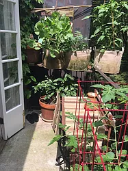 Rented by Avenue Sotheby's International Realty