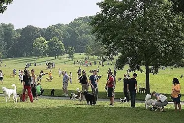 Rented by Town Residential