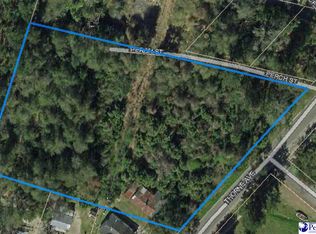 1071 Thorne Ave, Kingstree, SC 29556