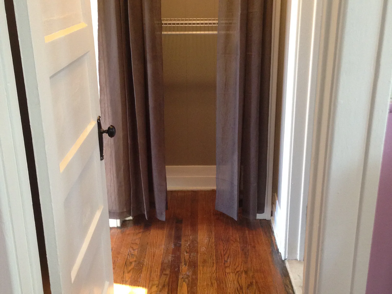 1 bed, 1000 sqft, $1,250 — Photo 4