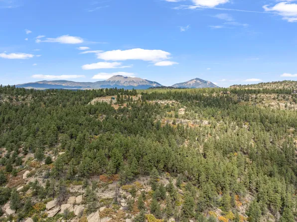 13490 Big Pine Ridge Dr, Weston, CO 81091