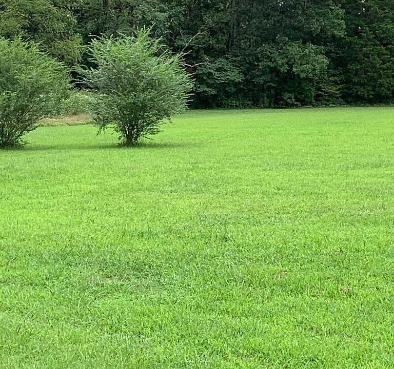 2nd image of 2235 Nashville Hwy