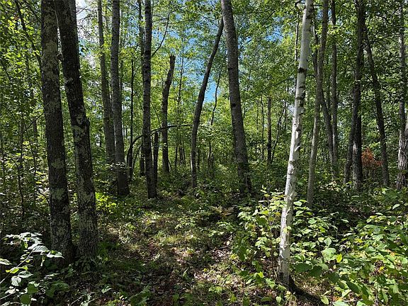 2nd image of 0 Shell Creek Road
