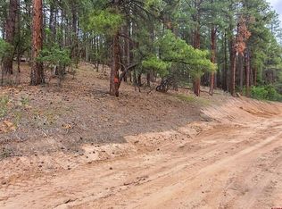 162-190 Snowbird Ct, Bayfield, CO 81122