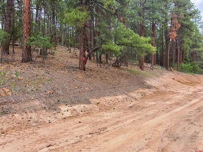 162, 190 Snowbird Court, Bayfield, CO, 81122