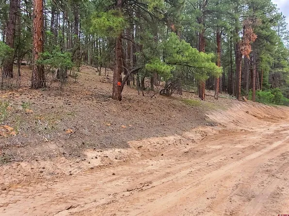 162, 190 Snowbird Court, Bayfield, CO 81122