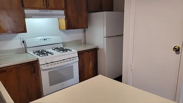 Kitchen1_12052023