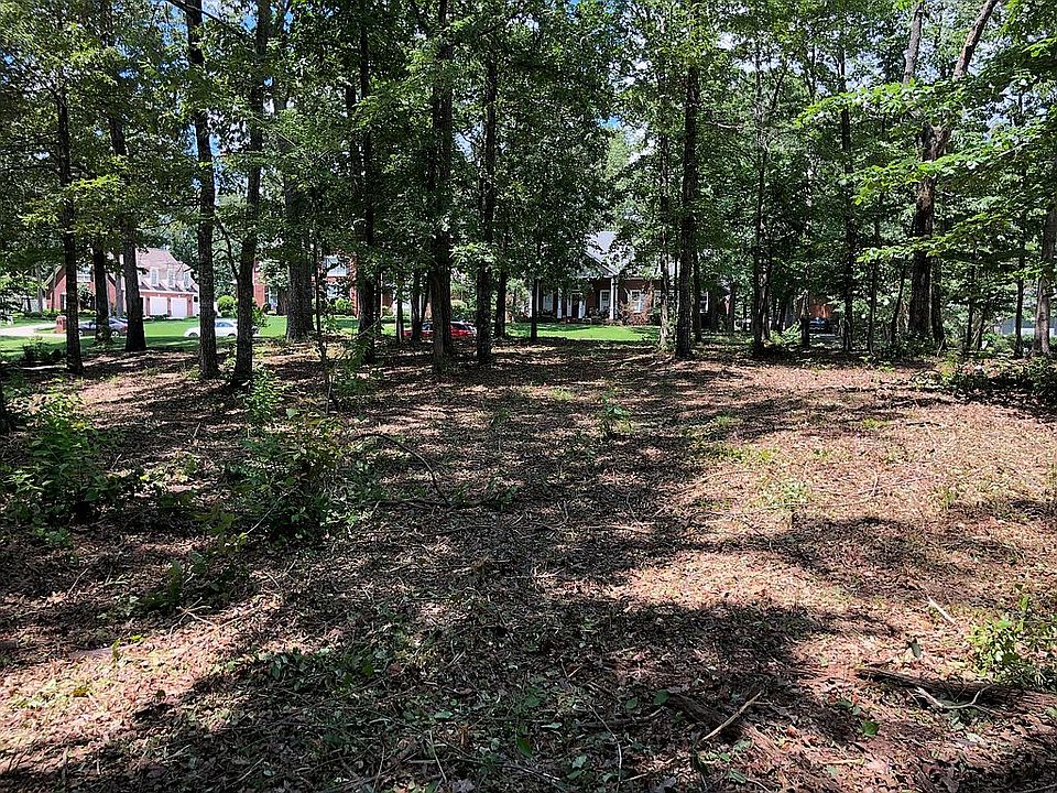 View from back of lot