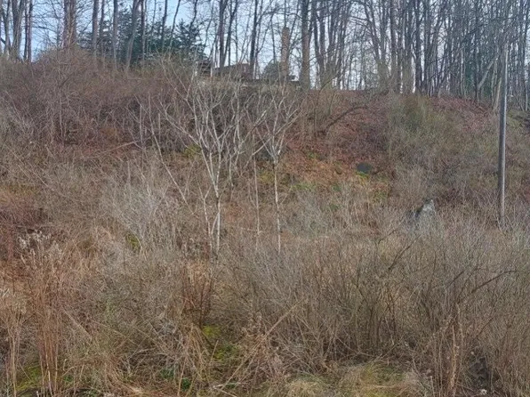 231 State St, Saint Marys, PA 15857