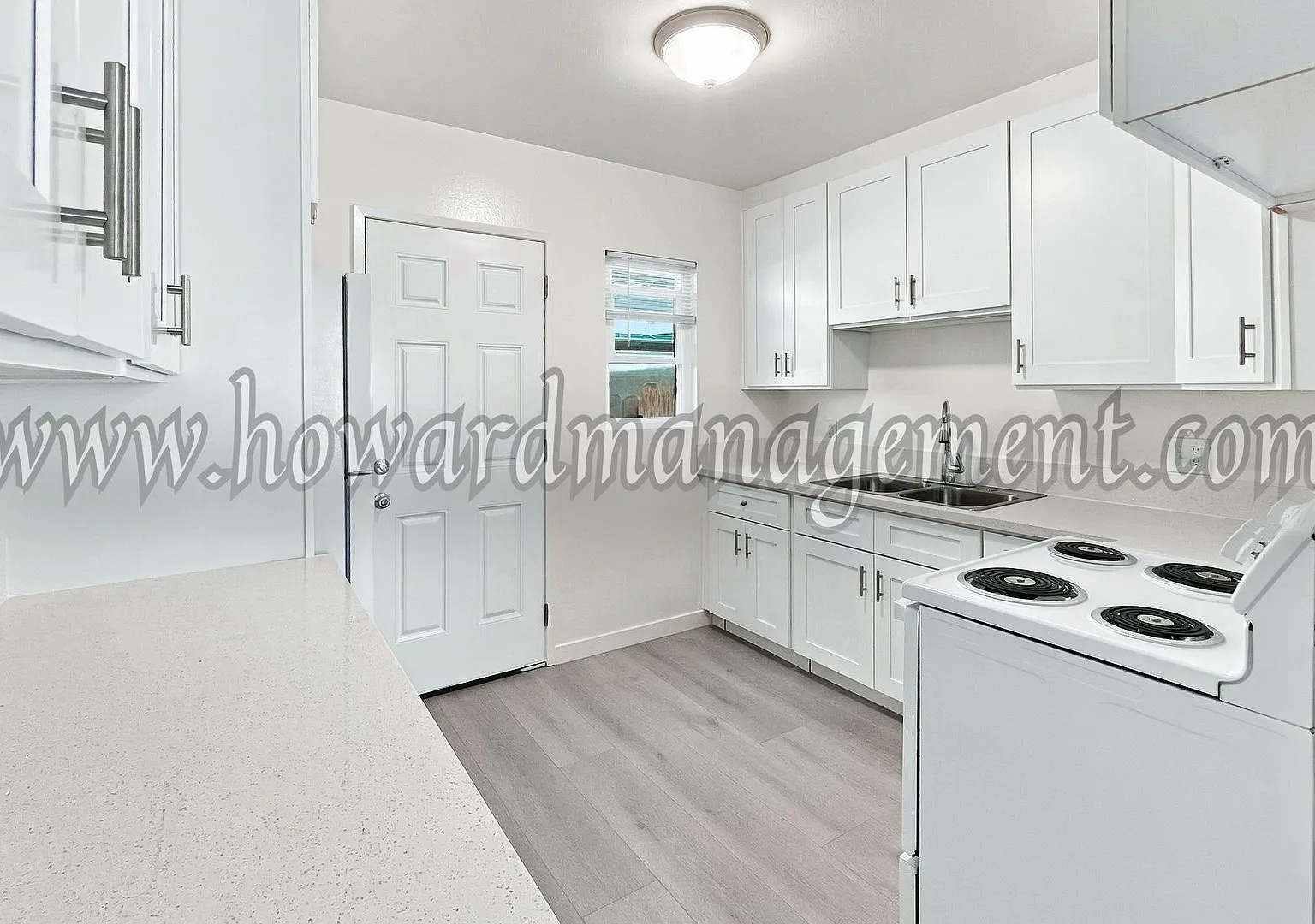 1981 Chestnut — Photo 4
