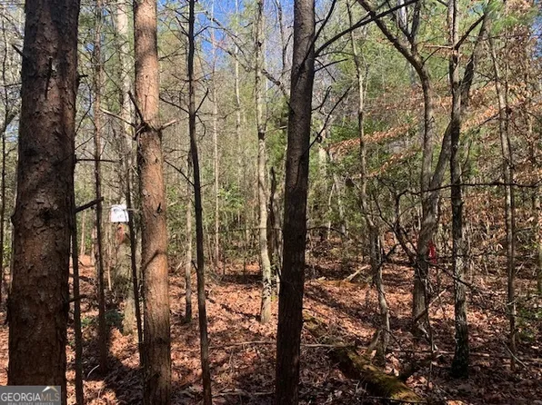 0 E New Hope Rd Tract C, Ellijay, GA 30536
