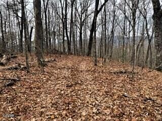 2nd image of Township Road 4 Pulaski Ln