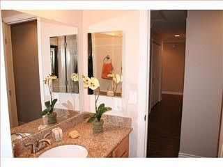 3rd image of 151 Lily Blossom Ct