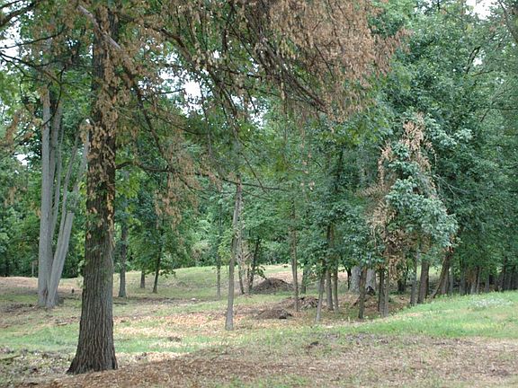 2nd image of 3461 Oak Hollow Dr