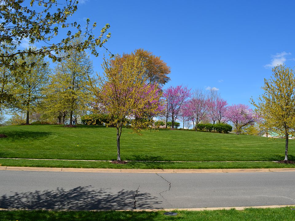 2nd image of 26030 Priesters Pond Dr