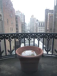 Rented by Gary Rubinstein LREB