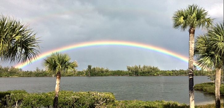 View from the Porch