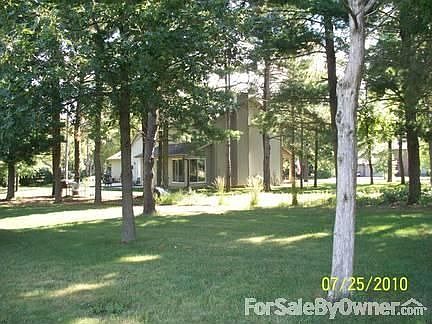 Portion of the back yard...very large lot!